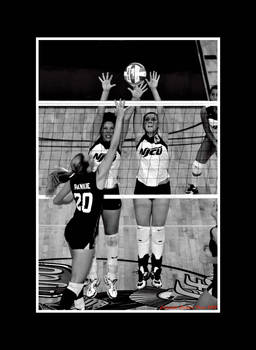 Volleyball