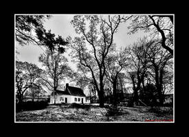 A White House In Winter