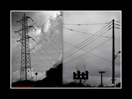 Unspoken LInes