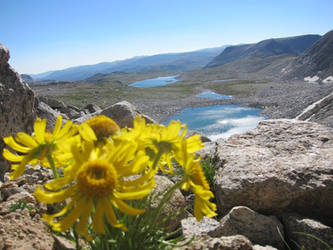 Ascending Angel's Pass