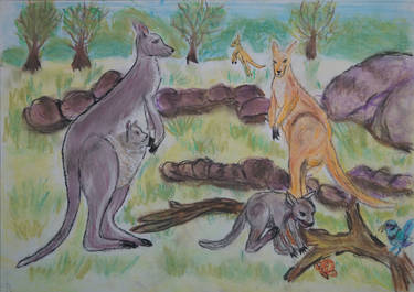 Explore the Best Kangaroos Art | DeviantArt