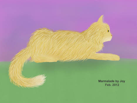 Marmalade 