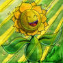 Let the sun shine in Sunflora