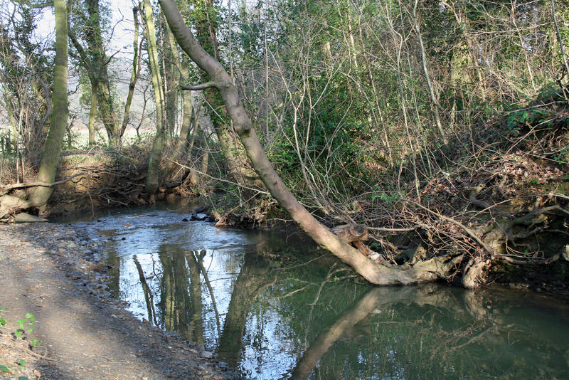 Forge Dam