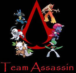 Team Assassin