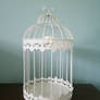 Birdcage Stock