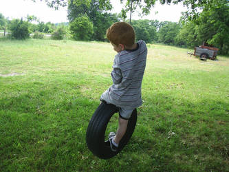 tire swing 2