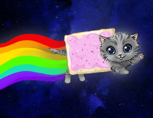 Nyan nyan nyanyanyanyan