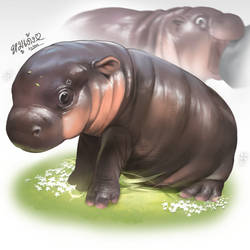 Thai hippo