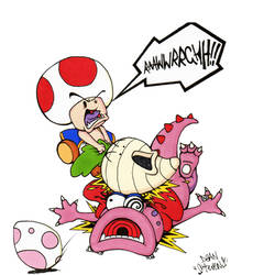 Toad's Fury on Birdo