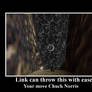 Link vs Norris
