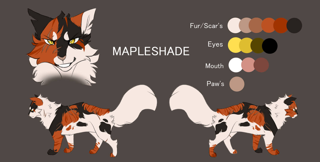 Mapleshade Reference 2019 by CrystalSilverlight on DeviantArt