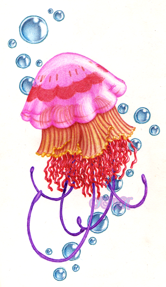 Superfast Jellyfish by thesuicidalhamster on DeviantArt