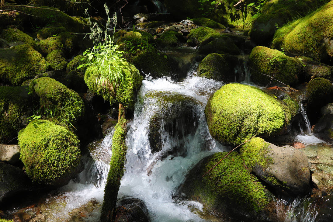 Rocky Stream Vector Rocky Stream 3 by PhotoDyne on DeviantArt