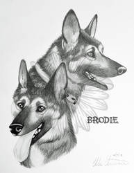 Commission - Brodie