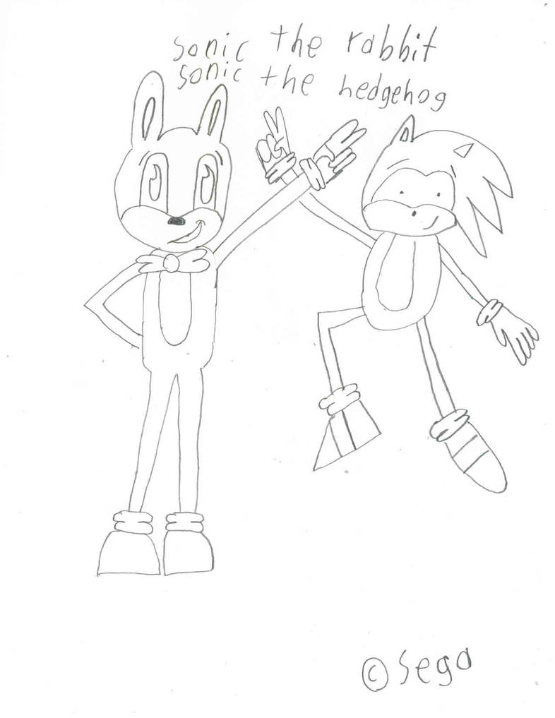 sonic the rabbit and hedgehog by dark-poppit on DeviantArt