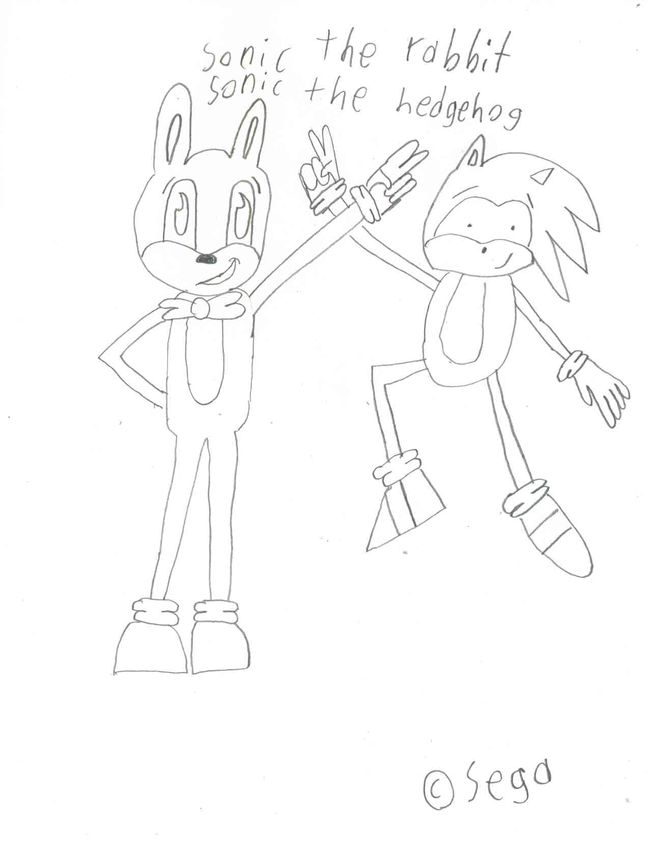sonic the rabbit and hedgehog by dark-poppit on DeviantArt