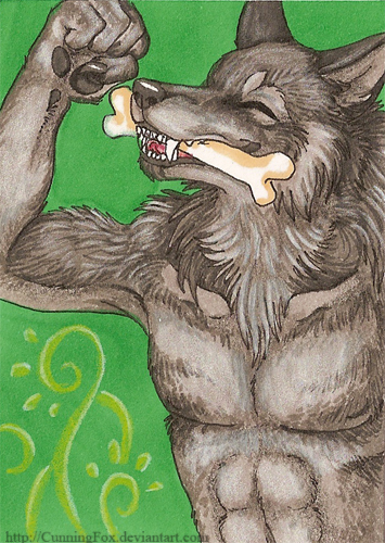 Werewolf masculinity ACEO