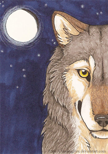 Wolf's moon ACEO