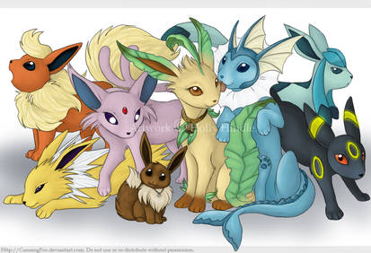 Eevee and Co.