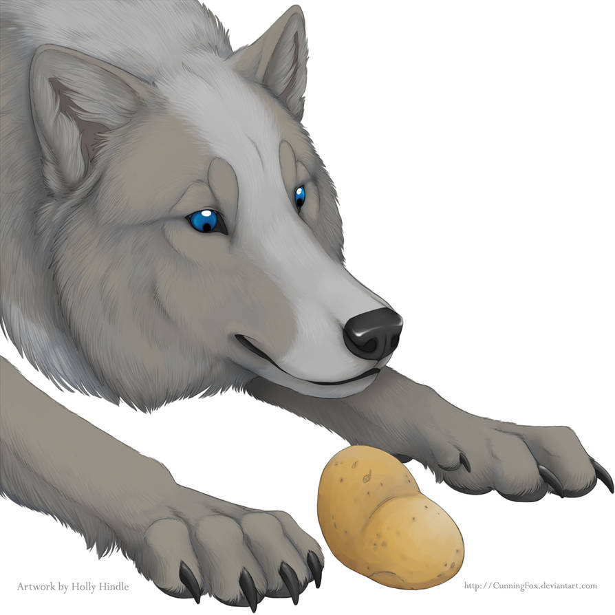 kitchen & dining prints – wolf & bear prints Images... A wolf in the kitchen by Bear-hybrid on DeviantArt