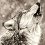 Howling Wolf