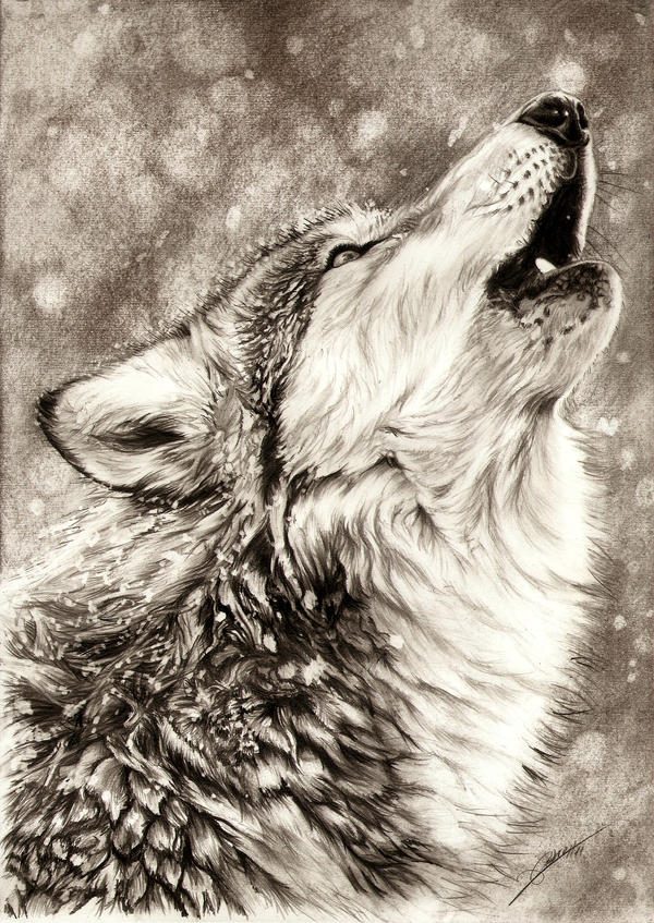 Howling Wolf by AmBr0 on DeviantArt