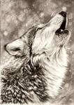 Howling Wolf by AmBr0