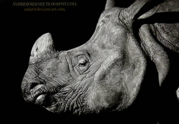 Rhinoceros by AmBr0