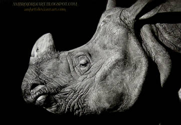 Rhinoceros Drawing by AmBr0