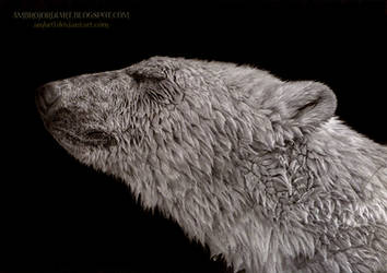 Polar Bear by AmBr0