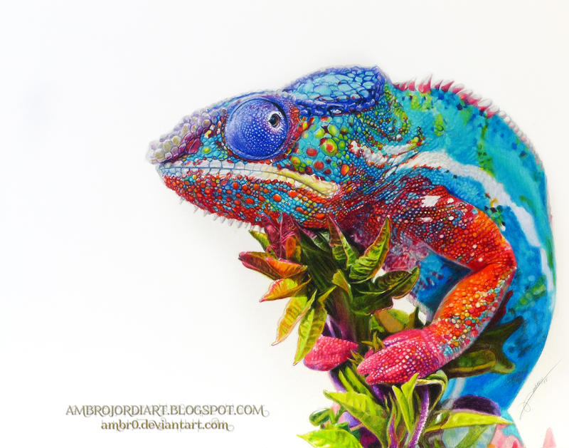Chameleon Drawing by AmBr0