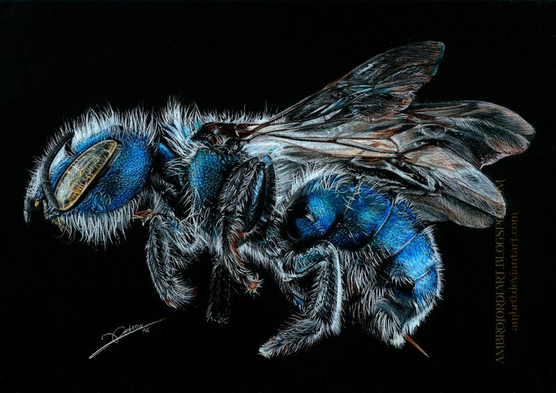 Blueberry Bee