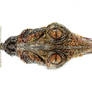 Crocodile