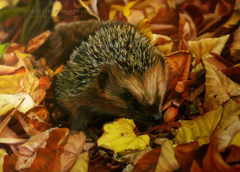 Hedgehog by AmBr0