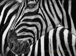 Zebra Scratchboard by AmBr0
