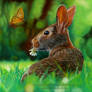 Rabbit and Butterflies Drawing