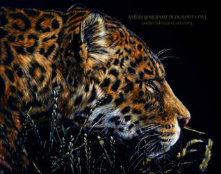 Leopard Scratchboard