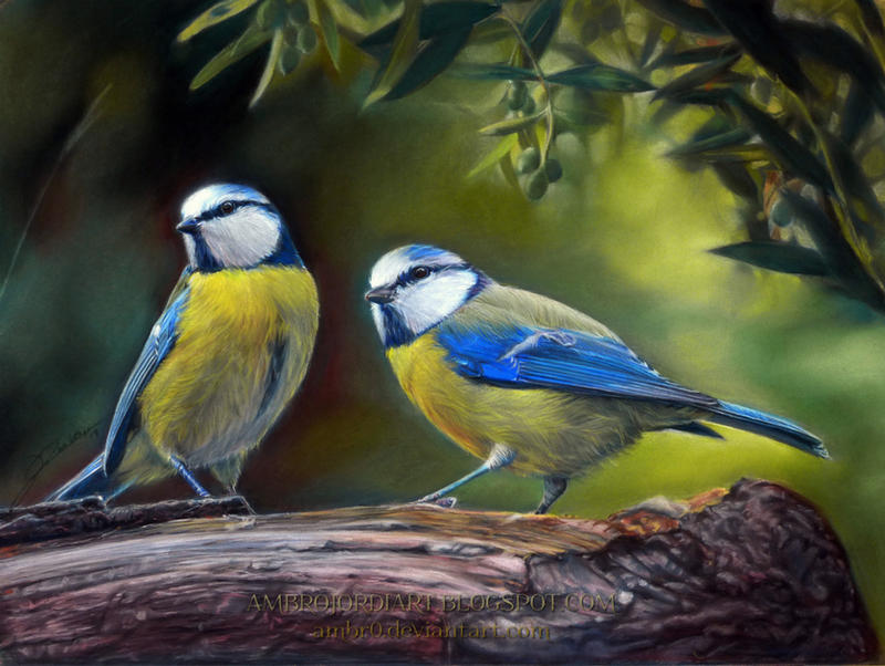 Blue Tits Drawing by AmBr0