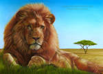 Lion Drawing by AmBr0