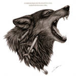 Wolf FOGG Drawing