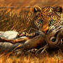 Hunting Leopard