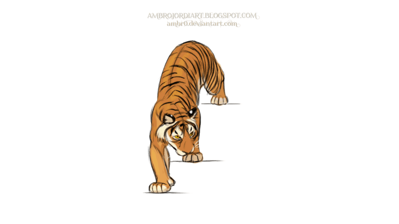 Tiger Animation by AmBr0 on DeviantArt Tiger Animation by AmBr0 on DeviantArt