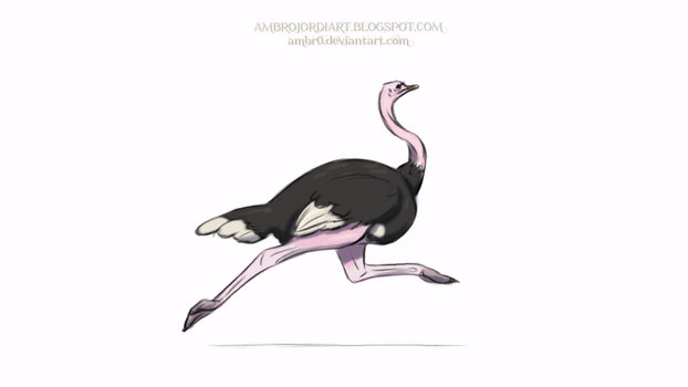 Ostrich Animation