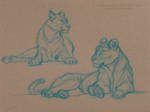 Animal Studies: LION by AmBr0