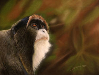 De Brazza's Monkey Drawing by AmBr0