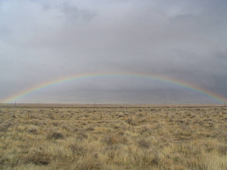 Desert Rainbow