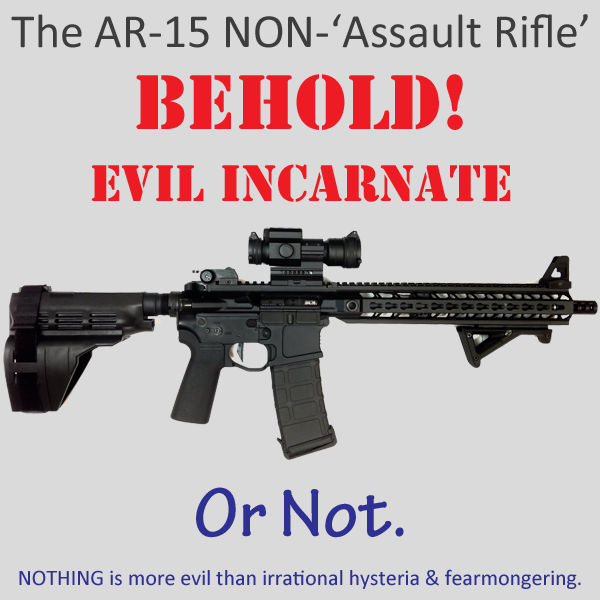 The AR-15 NON-'Assault Rifle' by PopeyeTheoB on DeviantArt