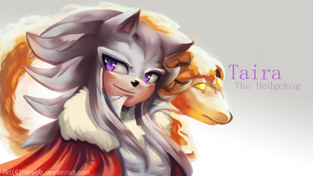 Abstract Taira Taira The Hedgehog by FairyGB on DeviantArt