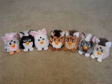 My Furby Collection: Furby Buddies - Update 1